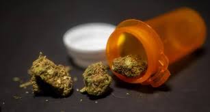 NDLEA Uncovers N1bn Worth of Canadian Loud at Hotel in Lagos