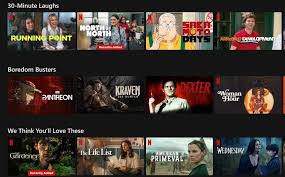 New Netflix Show Achieves Perfect 100% Critic Score